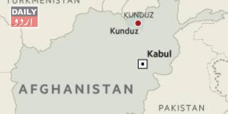 دہشتگردی