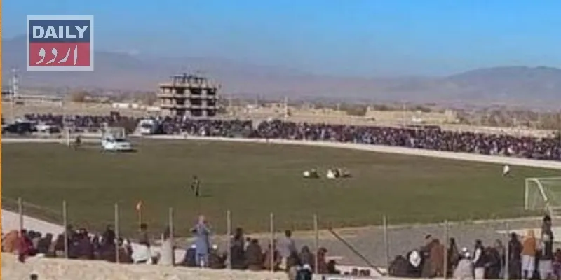 کورٹس