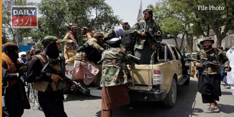دہشتگردی