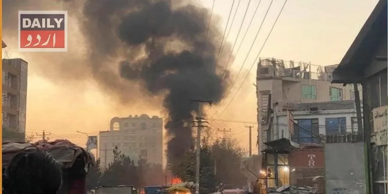 دہشتگردی