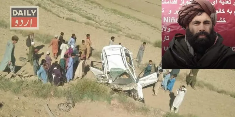 دہشتگردی