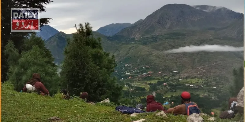دہشتگردی