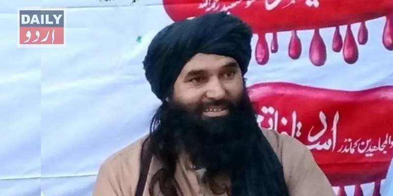 دہشتگردی