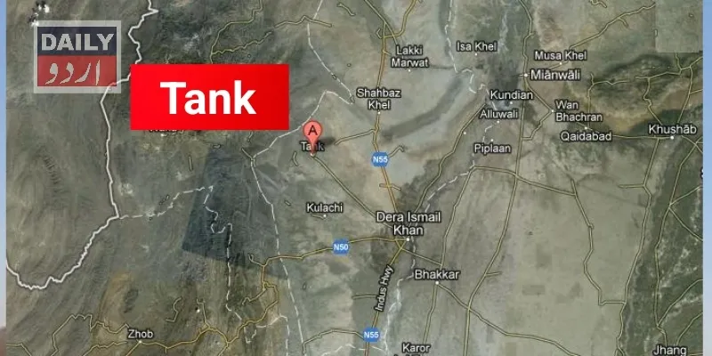 دہشتگردی