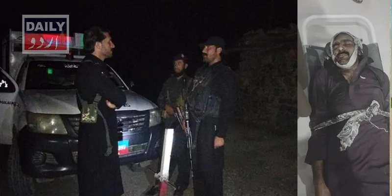 دہشتگردی