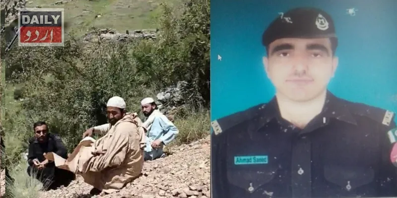 دہشتگردی