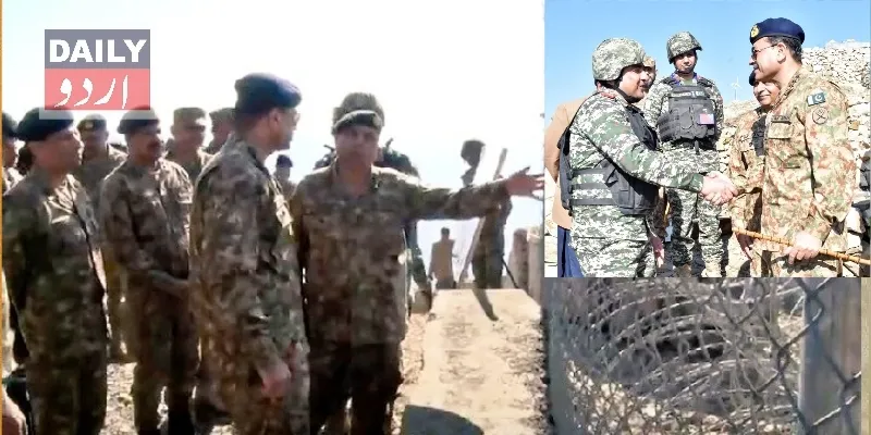 دہشتگردی