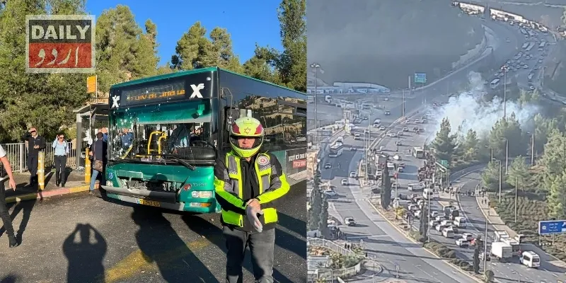 دہشتگردی