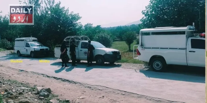 دہشتگردی