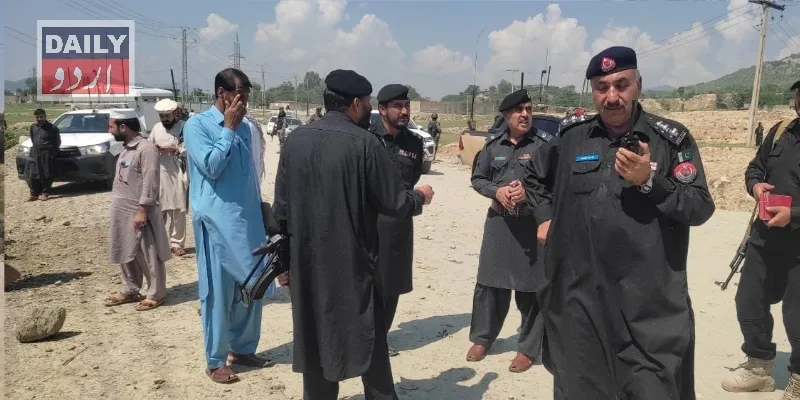 دہشتگردی