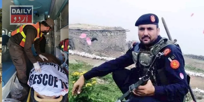 دہشتگردی