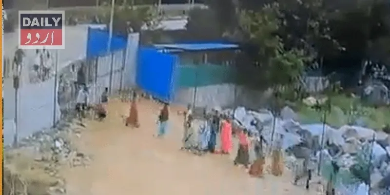 کرائمز