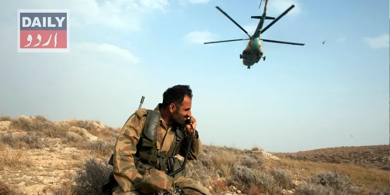 دہشتگردی