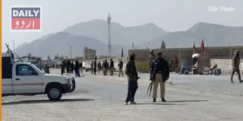 دہشتگردی