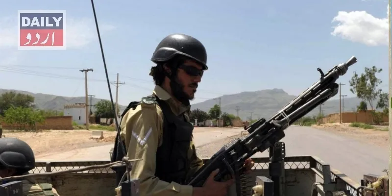 دہشتگردی