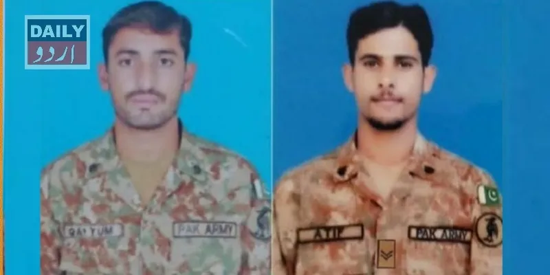 دہشتگردی
