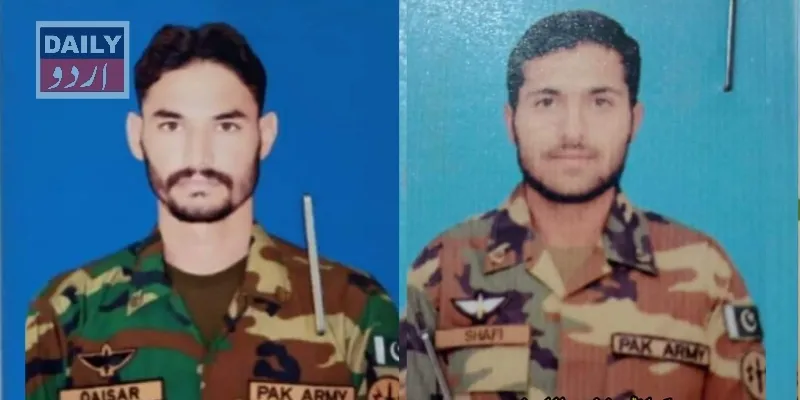 دہشتگردی