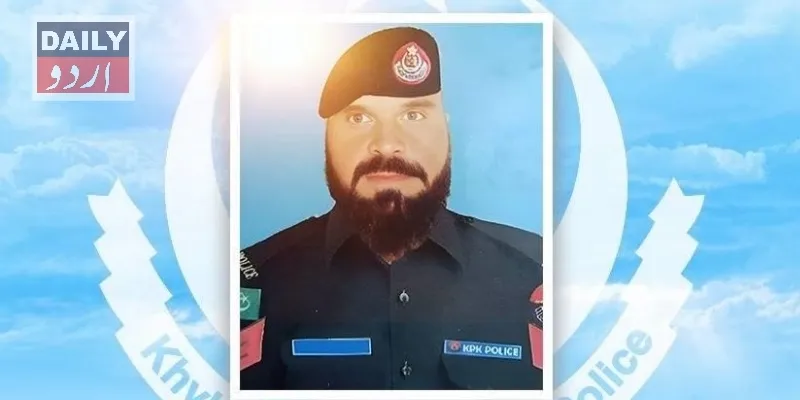 دہشتگردی