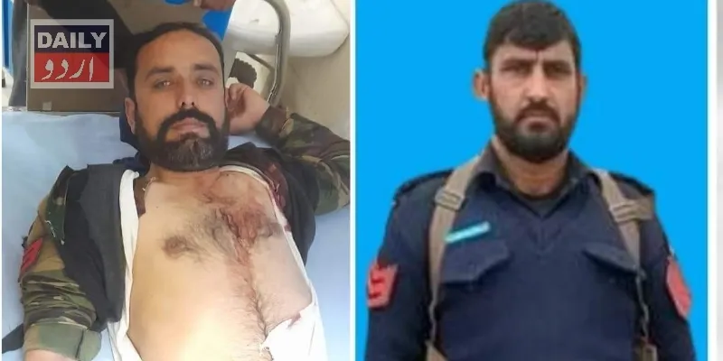 دہشتگردی