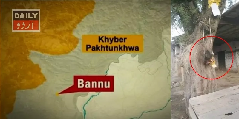 دہشتگردی