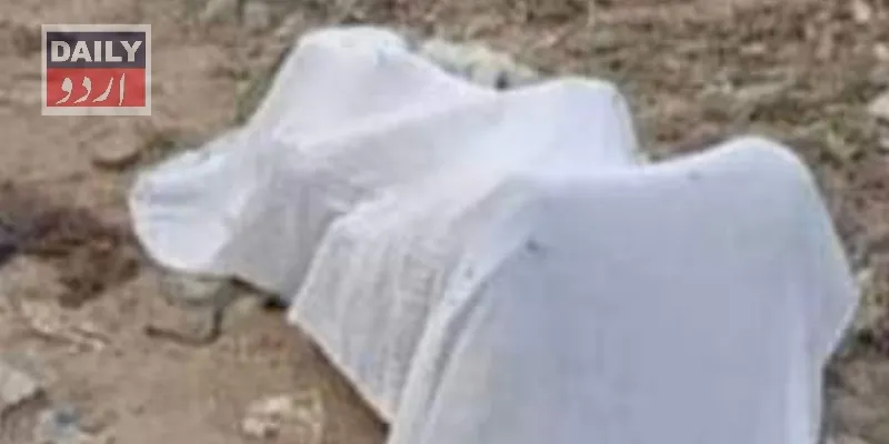 دہشتگردی
