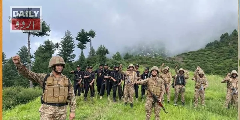 دہشتگردی