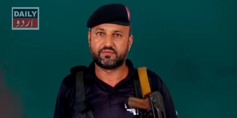 دہشتگردی