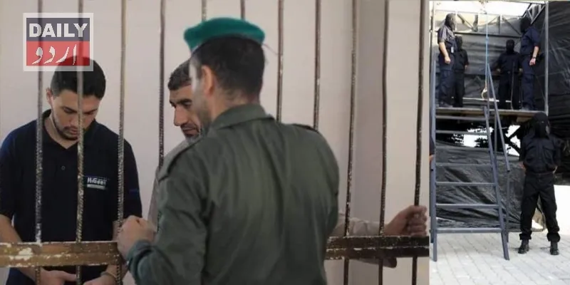 کرائمز