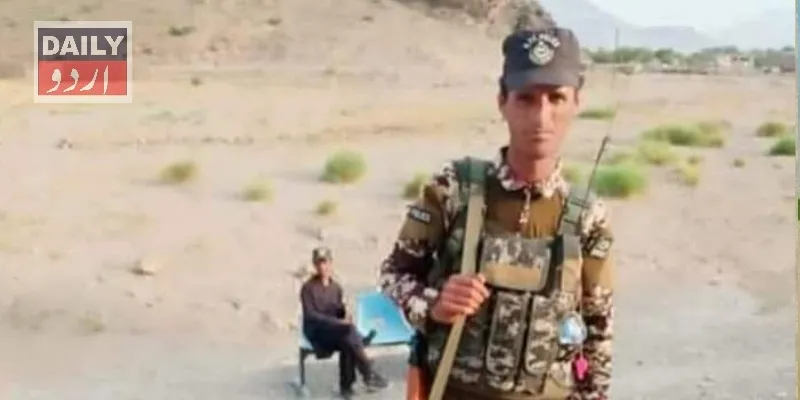 دہشتگردی