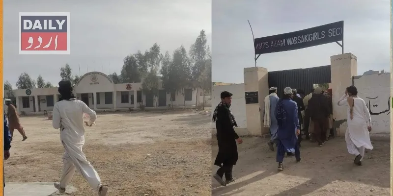 دہشتگردی