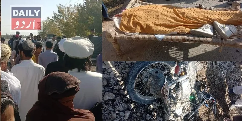 دہشتگردی