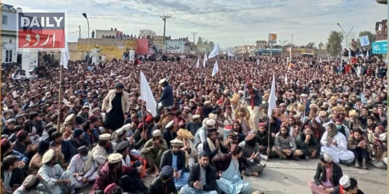 دہشتگردی