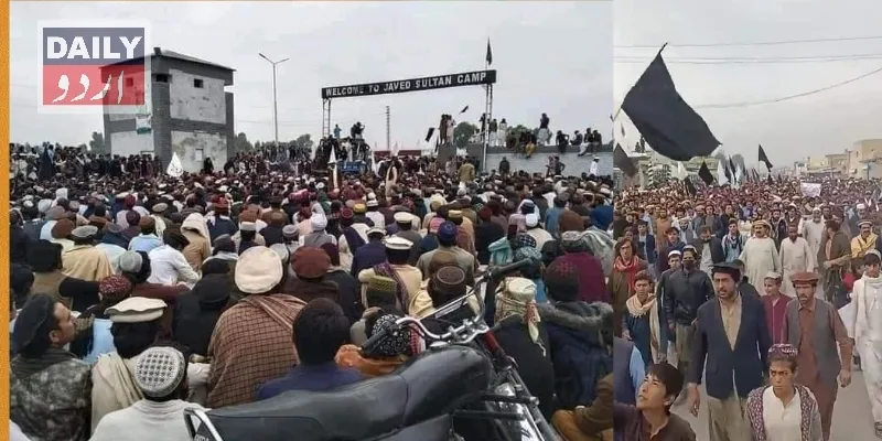 دہشتگردی