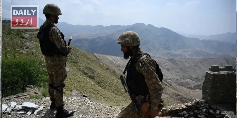 دہشتگردی