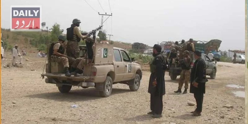 دہشتگردی