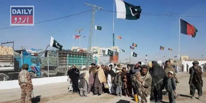 دہشتگردی