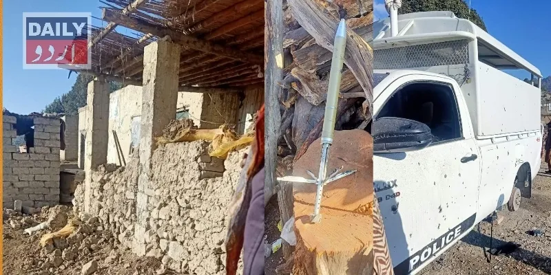 دہشتگردی