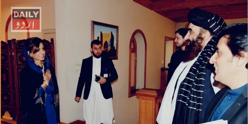 سیاست