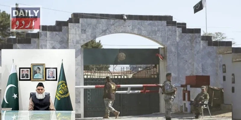 دہشتگردی