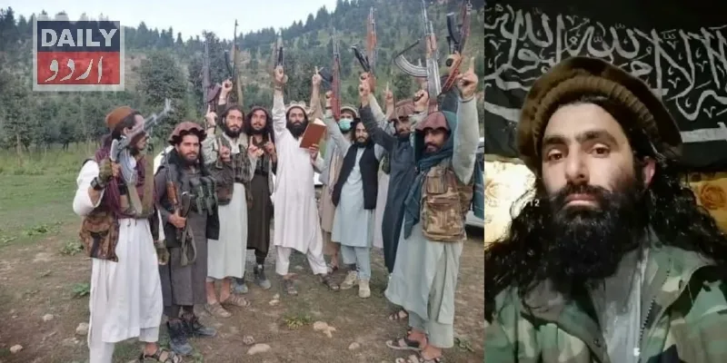 دہشتگردی