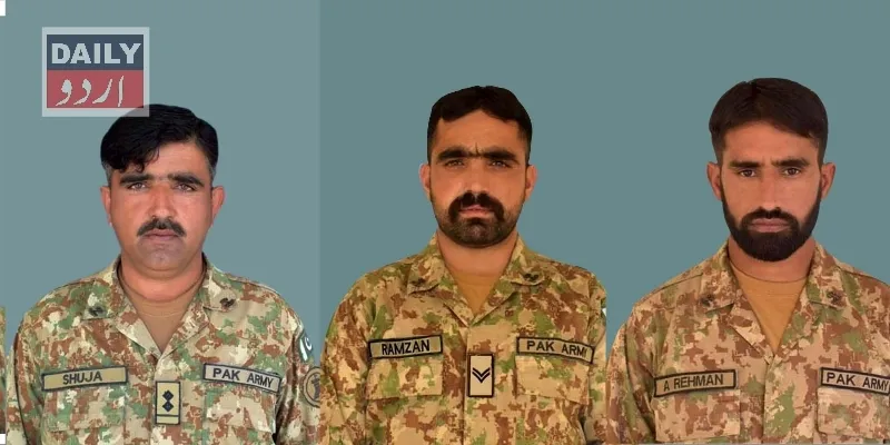 دہشتگردی