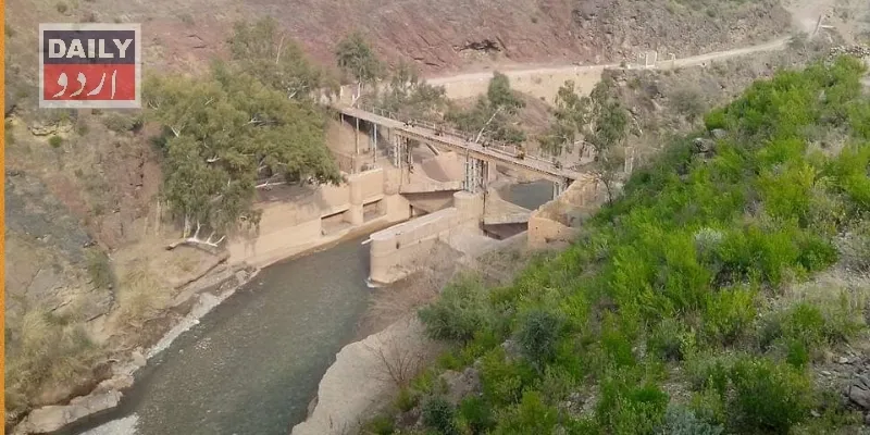 دہشتگردی