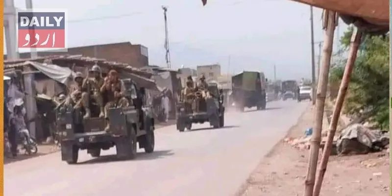 دہشتگردی