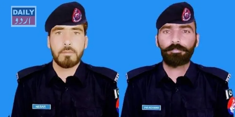 دہشتگردی