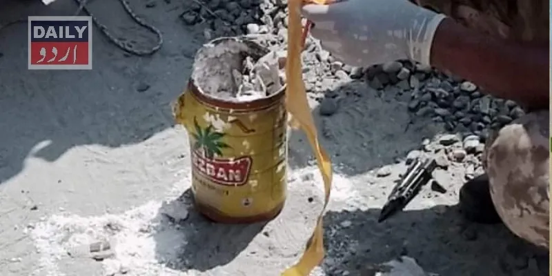 دہشتگردی