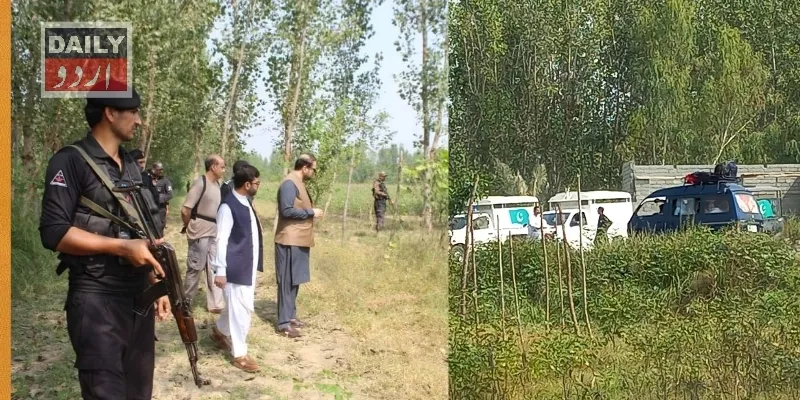 دہشتگردی