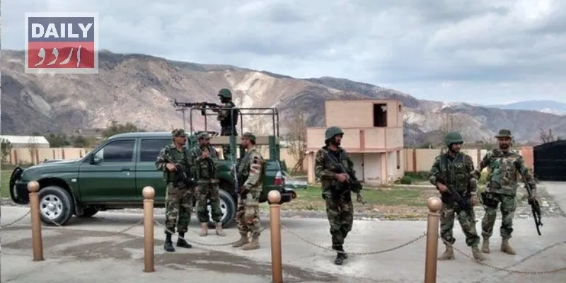 دہشتگردی