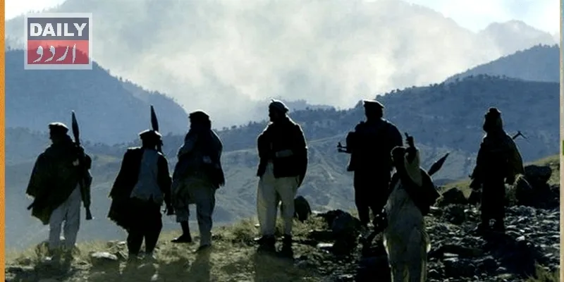دہشتگردی