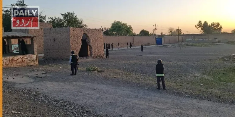 دہشتگردی