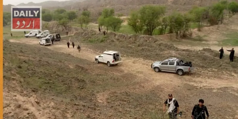 دہشتگردی